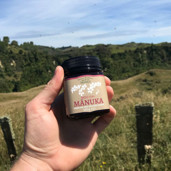 Holding Mason Brothers Manuka Honey MGO 514+ in field